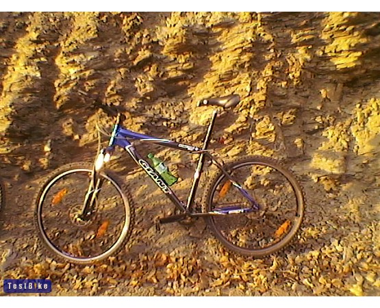 Giant Rincon 2005, Kókuszmenyétke képe mtb
